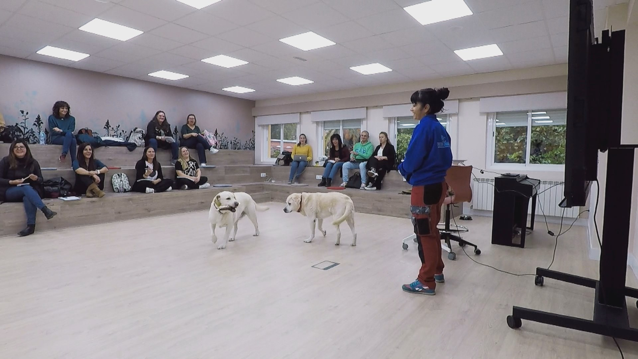 Educación asistida con perros para niños con trastornos del desarrollo