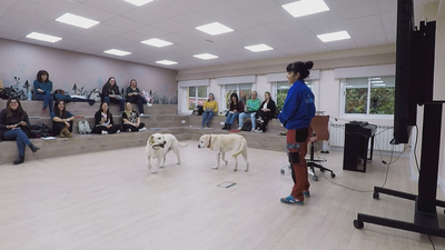 Educación asistida con perros para niños con trastornos del desarrollo