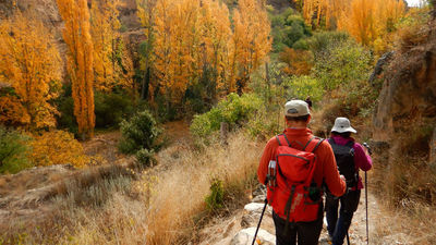 Un sábado primaveral en Madrid a pesar de estar en noviembre
