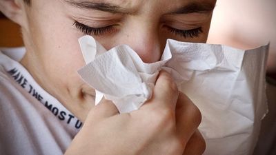 El pico de la gripe llegará tras la Navidad