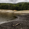Cataluña endurece las restricciones al agua en una nueva fase de preemergencia por sequía