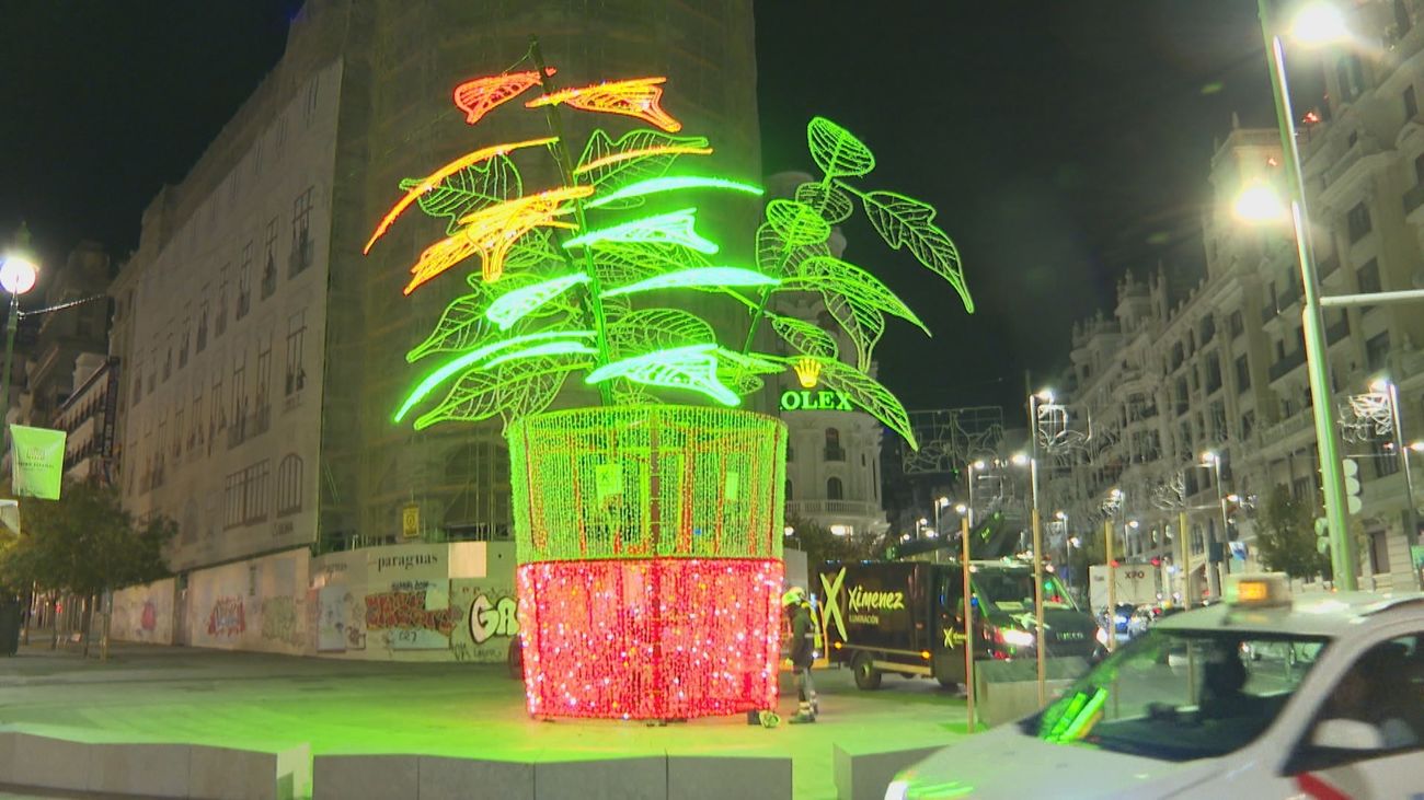 Así luce la nueva flor de Pascua instalada en la esquina de Gran Vía