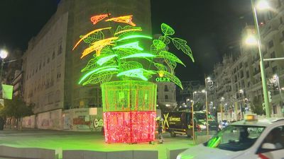 Así luce la nueva flor de Pascua instalada en la esquina de Gran Vía