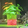 Así luce la nueva flor de Pascua instalada en la esquina de Gran Vía