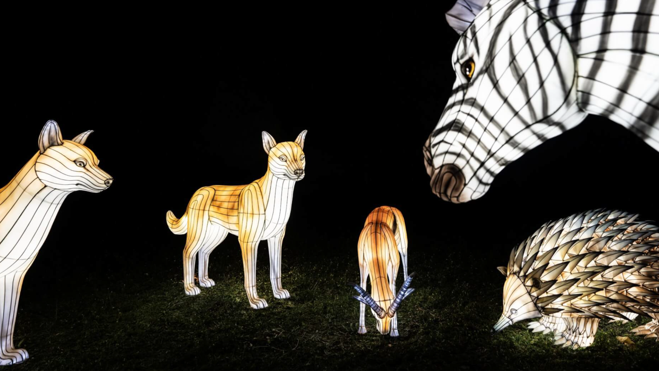 El Parque Juan Carlos I se convierte en el zoo más grande del mundo