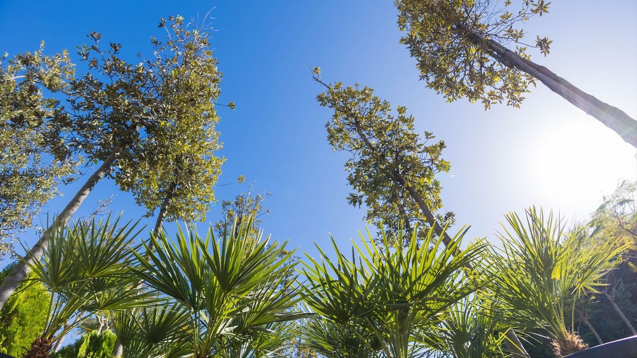 El Ayuntamiento de Madrid inicia las obras de rehabilitación del parque de Agustín Rodríguez Sahagún
