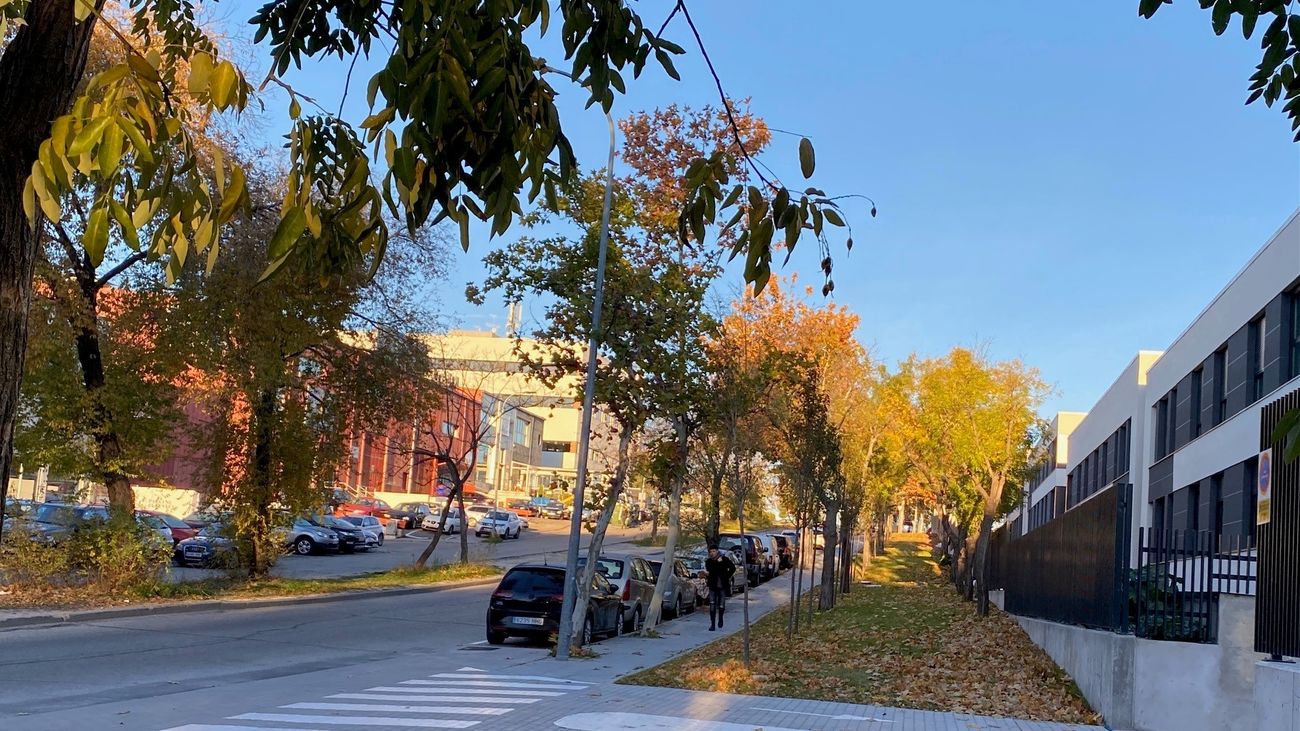Sanse asume el mantenimiento de zonas verdes de Rosa Luxemburgo y el Polígono Sur