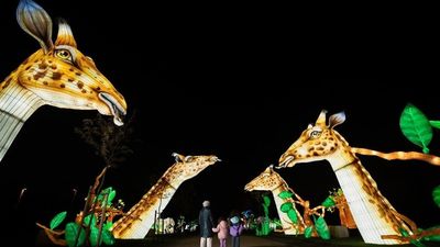 El Parque Juan Carlos I se convierte en un zoo iluminado con más de 450 figuras y 30 escenas