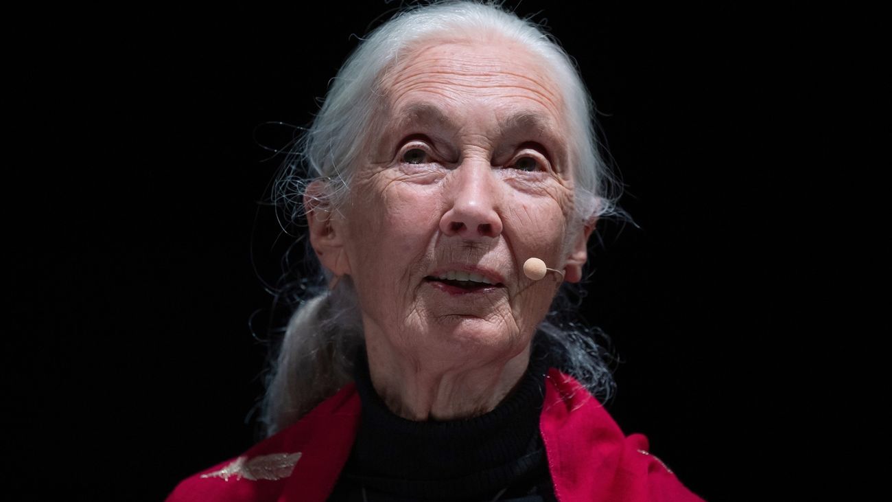 Jane Goodall afirma que para cuidar la salud hay que cuidar el planeta