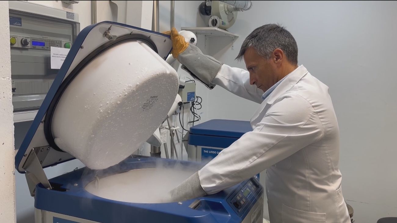 El dilema ético de los embriones congelados