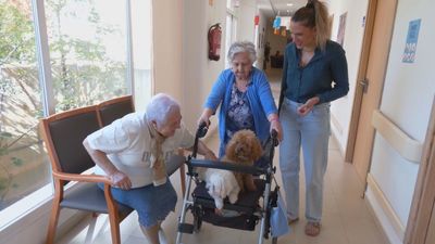 Unos 'terapeutas' muy especiales: terapia canina en las residencias de mayores