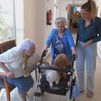 Unos 'terapeutas' muy especiales: terapia canina en las residencias de mayores