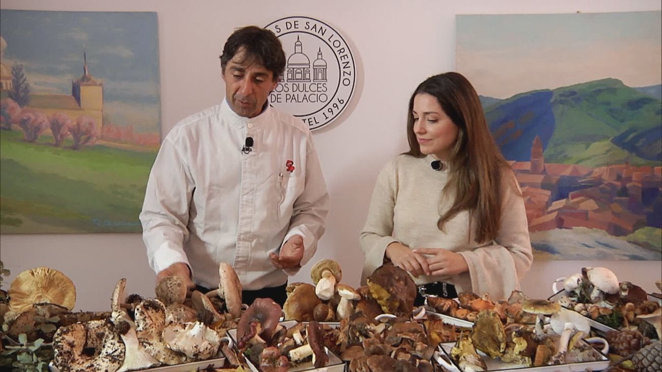 Consejos para un consumo seguro de setas en Madrid