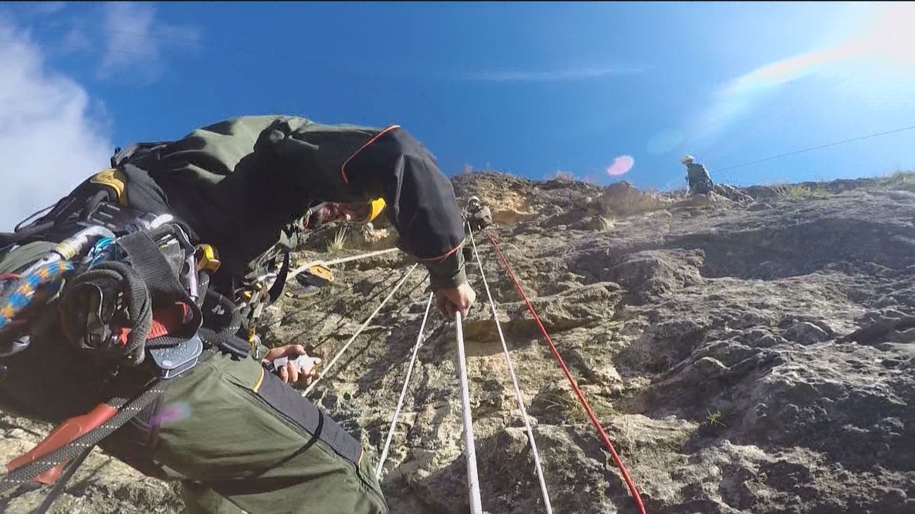 Tres agentes forestales de Madrid, entre los 'Top Gun' de las alturas
