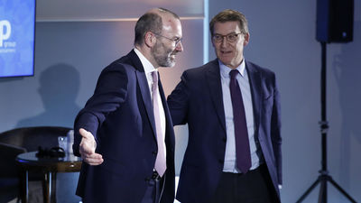 Feijóo pide a Europa que ayude a España a frenar la ley de amnistía de Pedro Sánchez