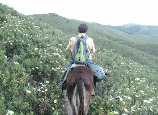 La Senda del Genaro en burro / SIERRA NORTE