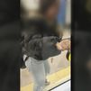Perder el metro se hace viral: ¿’trend’ o delito?