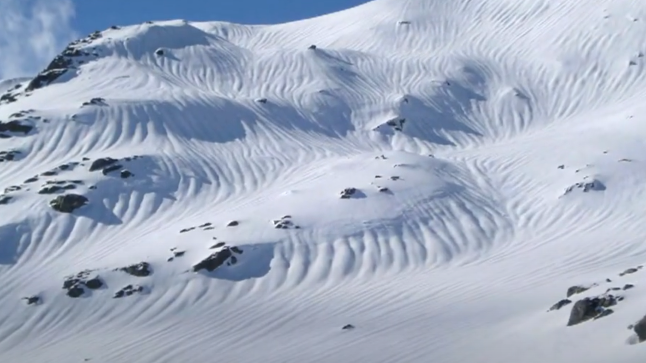 ¿Te apuntas a un proyecto de ciencia ciudadana en la Sierra de Guadarrama?