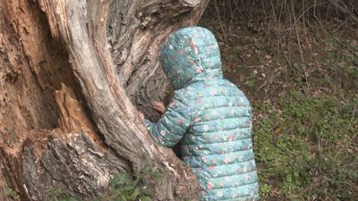 Descubre la escuela bosque de Cerceda: la naturaleza se convierte en el aula