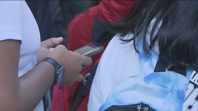 Uno de cada cuatro jóvenes vio porno por primera vez antes de los 12 años