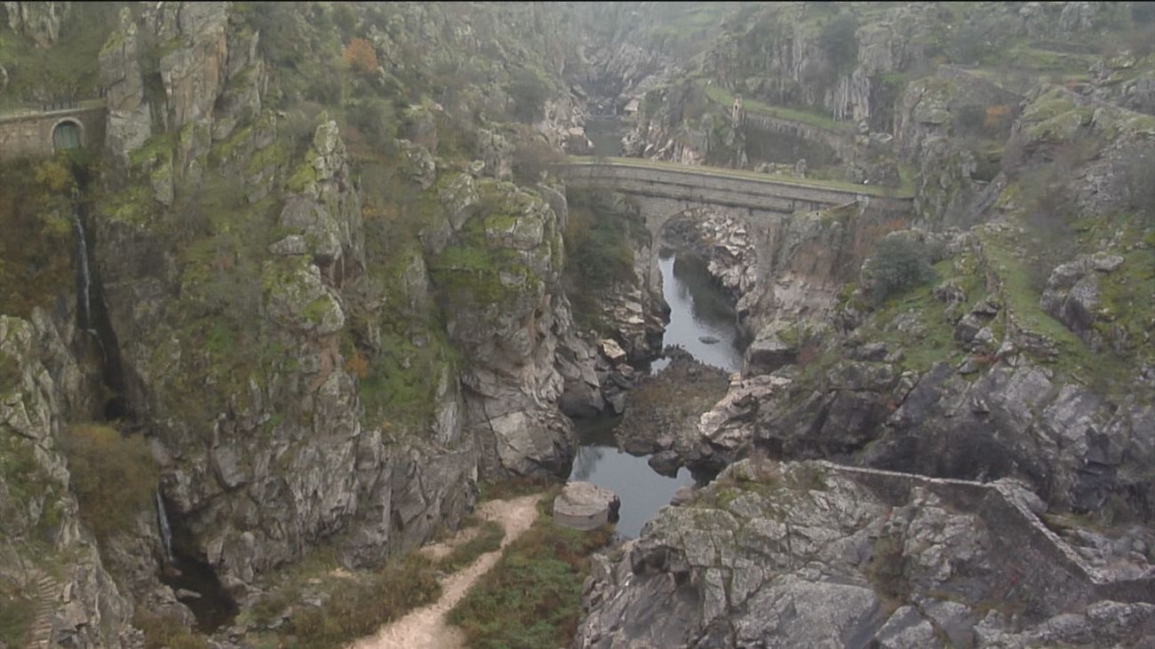 El valor de la flora y la fauna en la Sierra Norte de Madrid