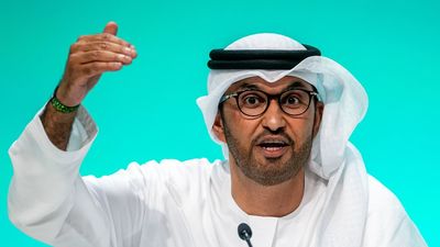 Emiratos Arabes Unidos anuncia en la COP28 una inversión 30.000 millones de dólares en soluciones contra el cambio climático