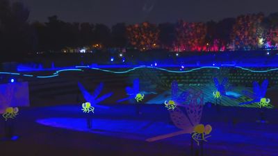 4 planes imprescindibles para disfrutar Madrid este fin de semana