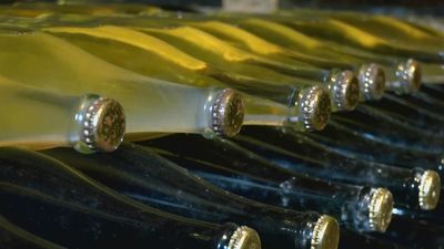 ¿Cómo se hace el único espumoso con Denominación de Origen Madrid?