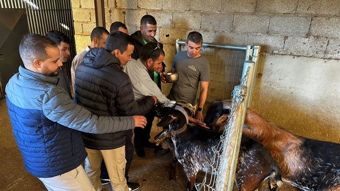 Un grupo de jóvenes saharauis de visita en Benarrabá (Málaga)