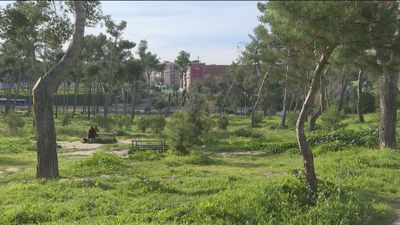 El Ayuntamiento de Madrid rehabilitará el Pinar de La Elipa