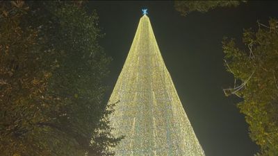 El árbol de Navidad más alto de Europa está en Cantabria