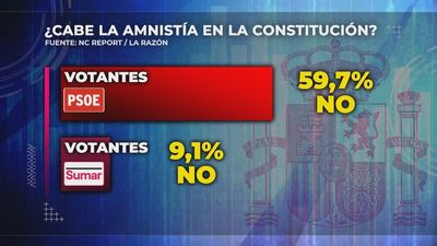 El 60% de los votantes del PSOE cree que la amnistía es inconstitucional, según una encuesta