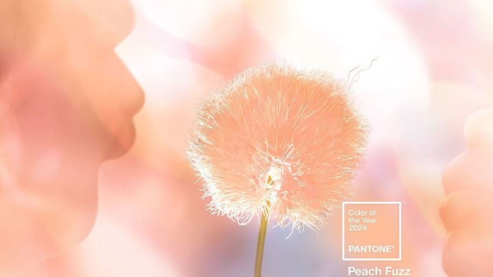 'Peach Fuzz', el color del 2024 / Telemadrid