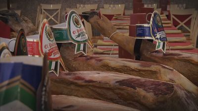 Madrid mejora tu vida 10.12.2023