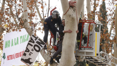 Vecinos se encadenan a árboles de Arganzuela afectados por las obras del Metro