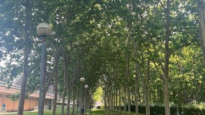 La UCM entra al  'top 50' de "universidades verdes" del mundo según el ranking GreenMetric