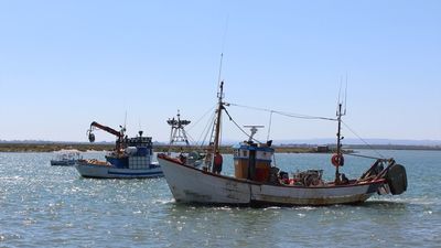 Andalucía ve un "error" la reducción "brutal" de pesca en Mediterráneo