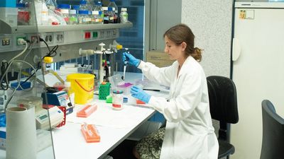 Madrid acoge una conferencia internacional sobre el 'futuro de las chicas Steam'