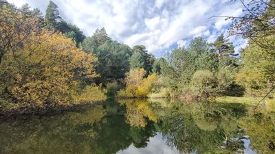Madrid pedirá al Gobierno ampliar el Parque Nacional de la Sierra de Guadarrama
