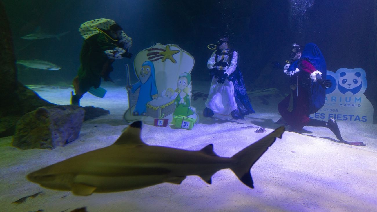 Ya es Navidad en el Zoo de Madrid