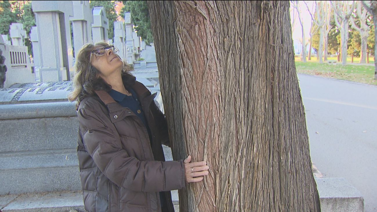 Convertir los restos humanos  en compostaje, una alternativa futura a los nichos y columbarios