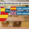 Europa analiza la inmersión lingüística en las aulas catalanas