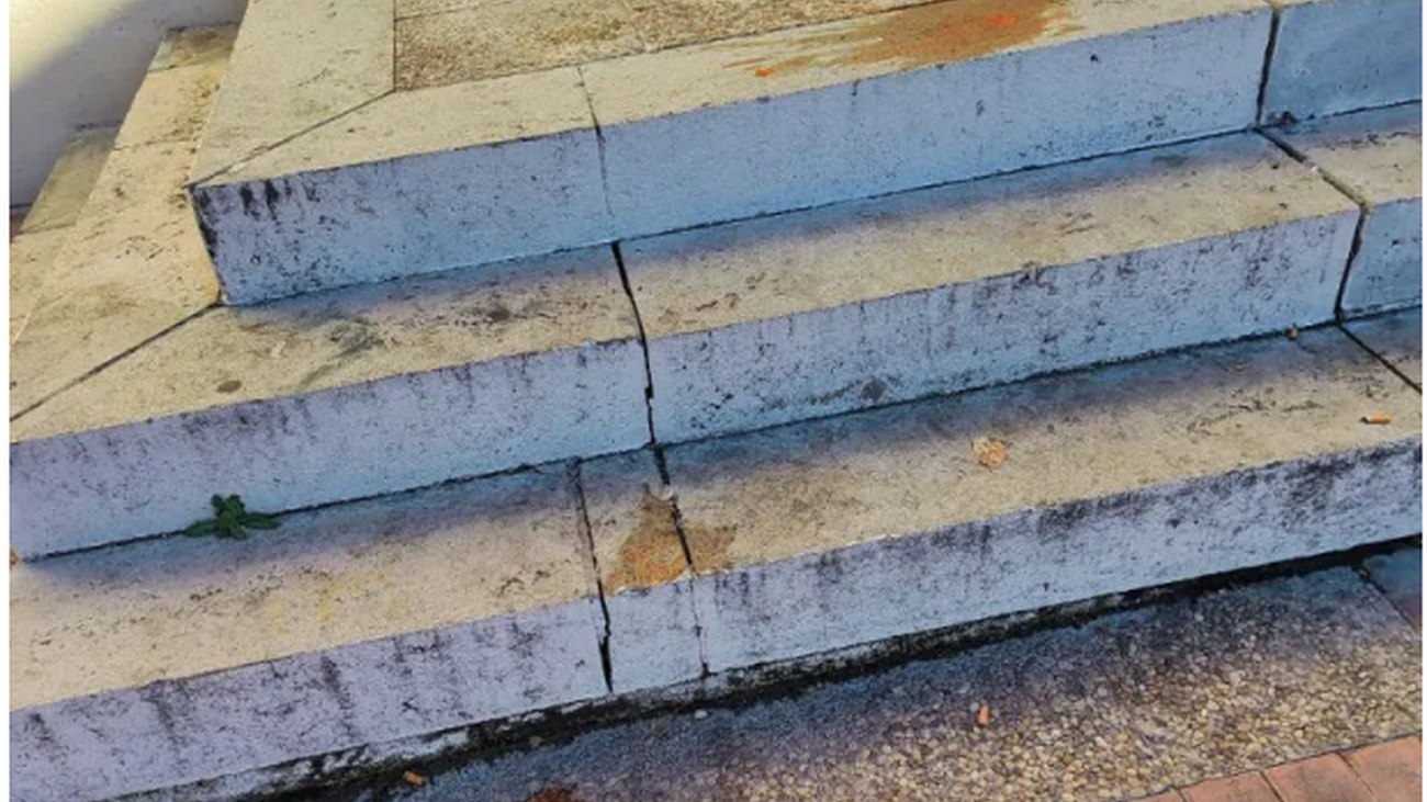 Vandalizan la Concejalía de Igualdad de Parla al lanzar tomates a la fachada