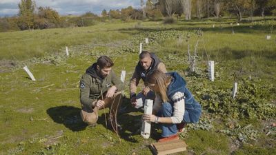 Reforest Project, la asociación que repuebla los campos de la Comunidad de Madrid
