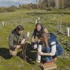 Reforest Project, la asociación que repuebla los campos de la Comunidad de Madrid