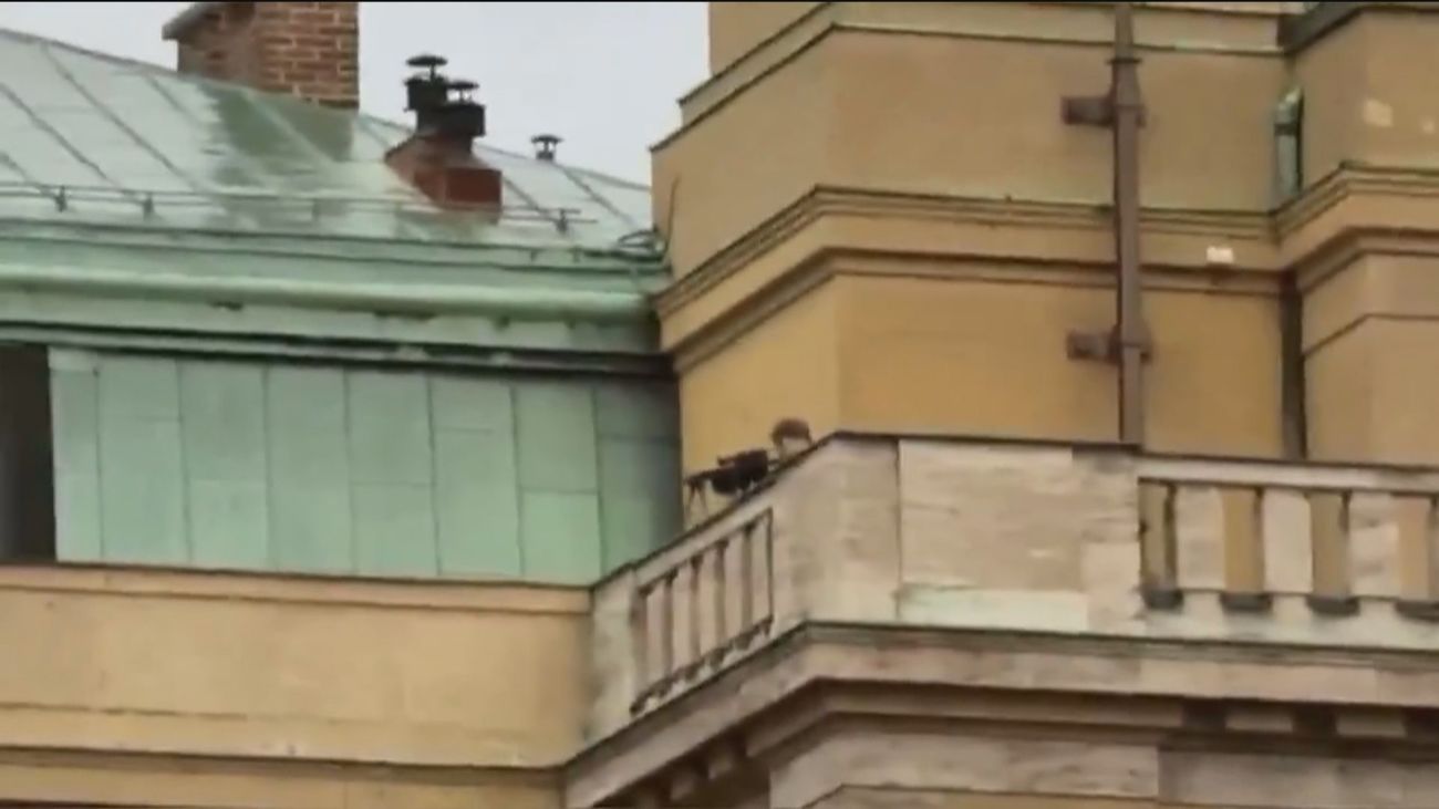 El autor del tiroteo de Praga tenía munición para una matanza aún mayor