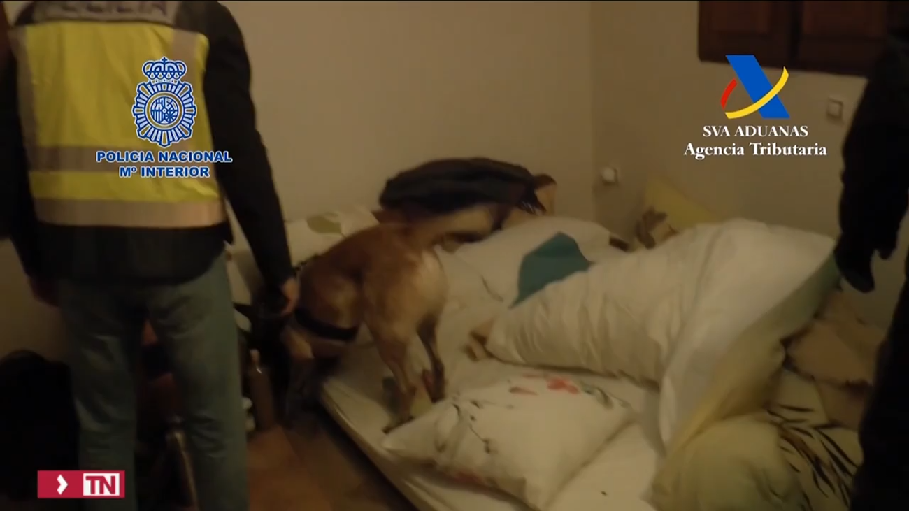 Detenidos los líderes de una secta que obligaba a tener sexo para "curar" la homosexualidad