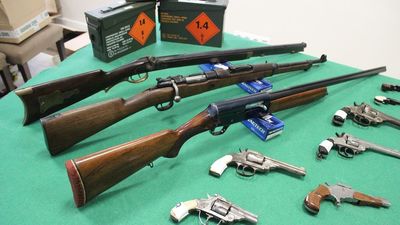 Desarticulada en Jaén una banda dedicada a la fabricación ilegal y al tráfico de armas