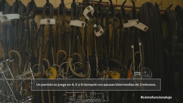 Sillas de montar a caballo / TeleMadrid