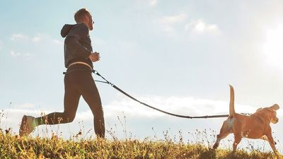 La San Silvestre perruna de Paracuellos estrena recorrido
